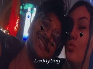 Laddybug