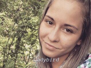Ladybird
