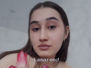 Lamareed