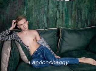 landonshaggy Tel 69 Salopes