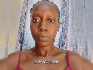 Lavenode