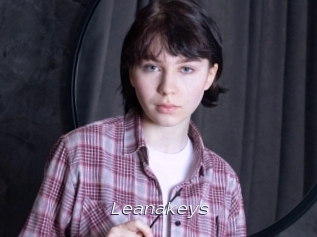 Leanakeys