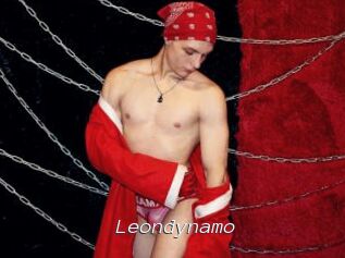 Leondynamo
