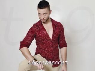 Leonidascolt