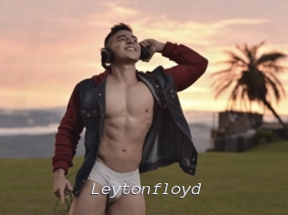 leytonfloyd Tel 69 Salopes