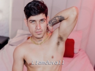 liamduvall Tel 69 Salopes