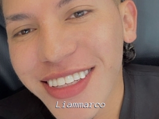 liammarco Tel 69 Salopes