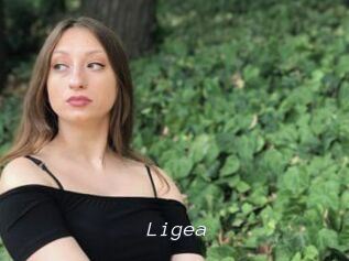 Ligea