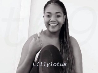 Lillylotus