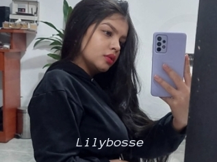 Lilybosse
