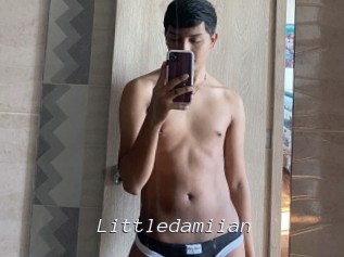 Littledamiian