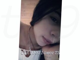 LittleflowerTS