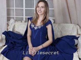 littllesecret Tel 69 Salopes