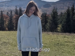 Lladybugg