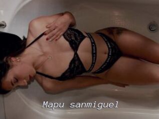 Mapu_sanmiguel