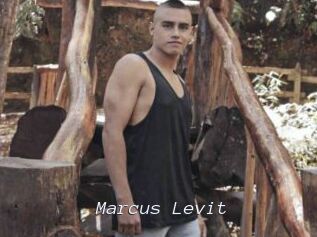 Marcus_Levit