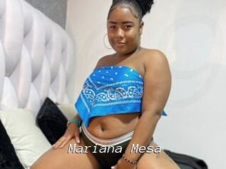Mariana_Mesa