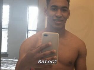 Mateo1