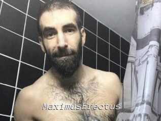 MaximusErectus