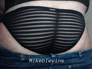 Mikeblevins