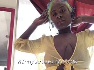 Minnysotawinter500