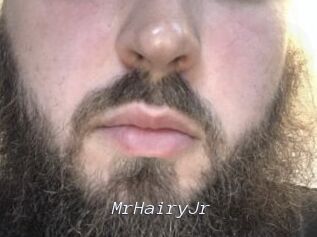 MrHairyJr