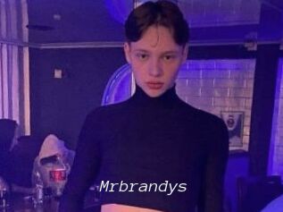 Mrbrandys