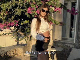 maitekarter Tel 69 Salopes