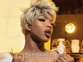 malecxalahia Tel 69 Salopes