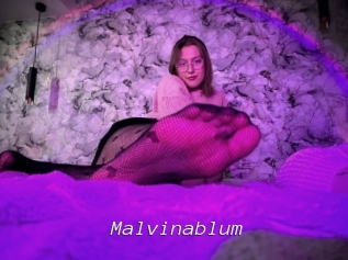 Malvinablum