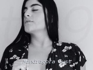 Mandragora_lust