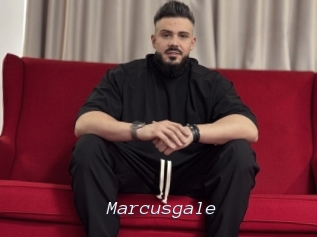 marcusgale Tel 69 Salopes