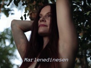 marlenedinesen Tel 69 Salopes
