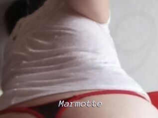 Marmotte