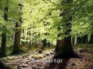 Martiaitor
