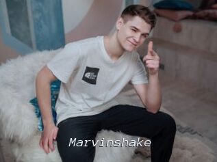 Marvinshake