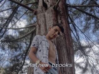 Mathew_brooks