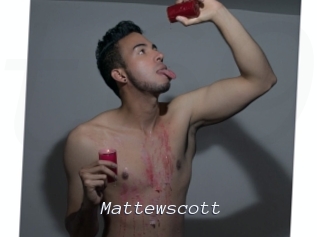 mattewscott Tel 69 Salopes