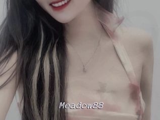meadow88 Tel 69 Salopes