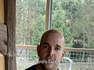 Meesterv