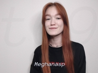 Meghanasp