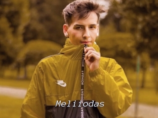 Meliiodas