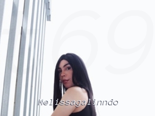 Melissagalinndo