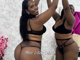 meridableck Tel 69 Salopes