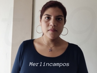 Merlincampos
