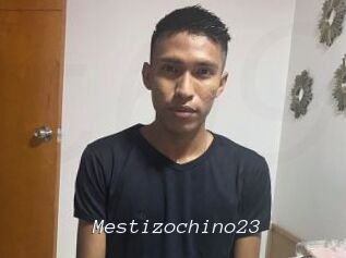 Mestizochino23