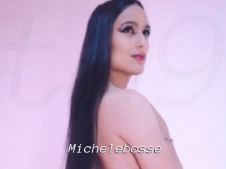 Michelebosse