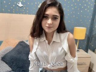 Mini_puca