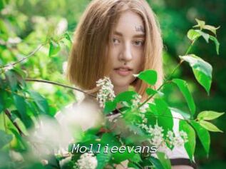 Mollieevans