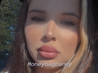 Moneybagbunny